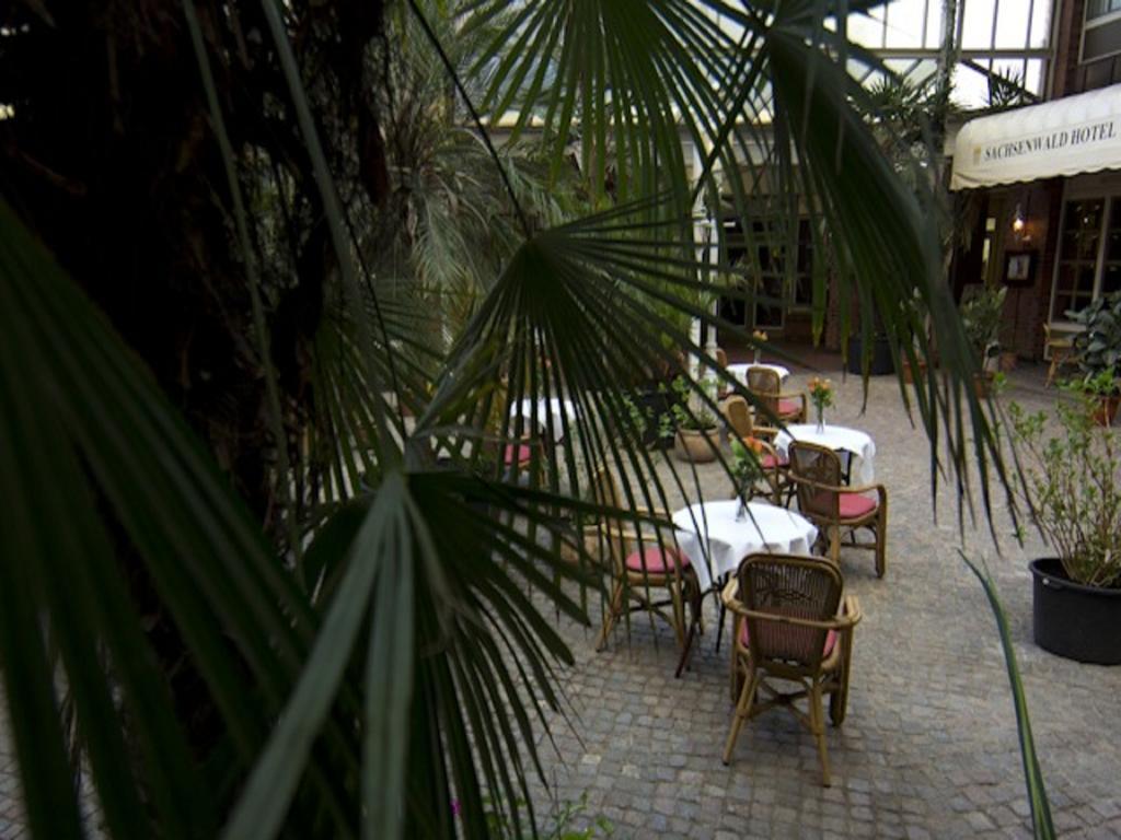 Sachsenwald Hotel Райнбек Экстерьер фото